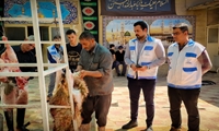 آماده‌باش ۹۸ اکیپ نظارتی دامپزشکی خوزستان در تاسوعا و عاشورای حسینی / شهروندان با سامانه ۱۵۱۲ در ارتباط باشند